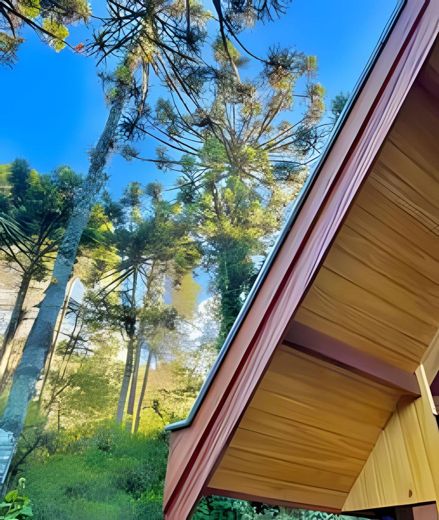 Cabana Suspensa Na Natureza - Regiao Turistica Campos do Jordão Exterior foto