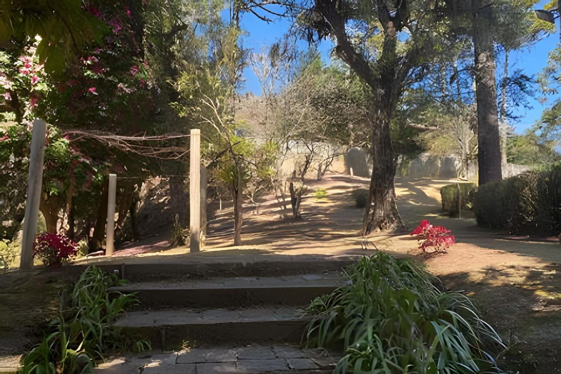 Cabana Suspensa Na Natureza - Regiao Turistica Campos do Jordão Exterior foto