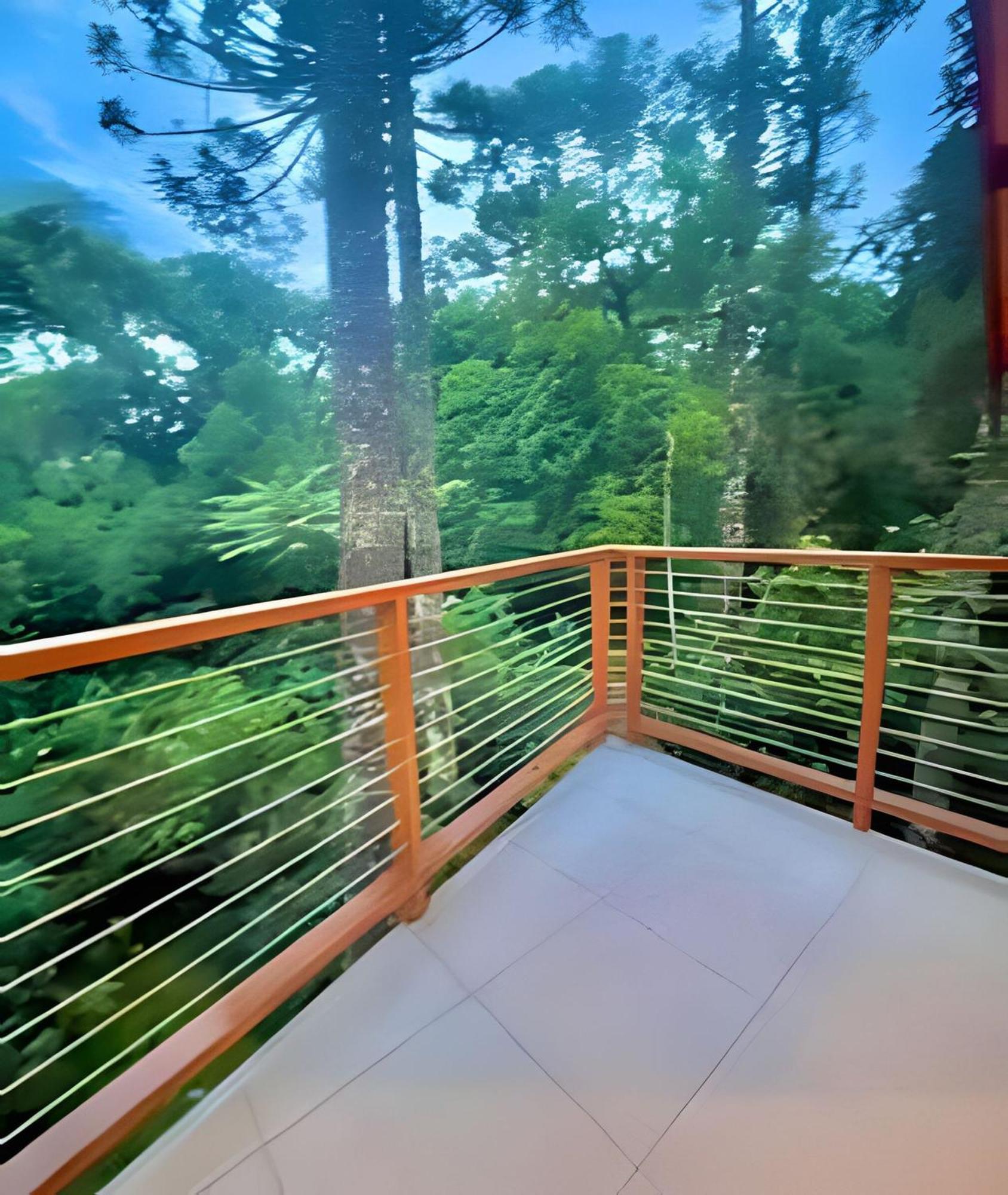 Cabana Suspensa Na Natureza - Regiao Turistica Campos do Jordão Exterior foto