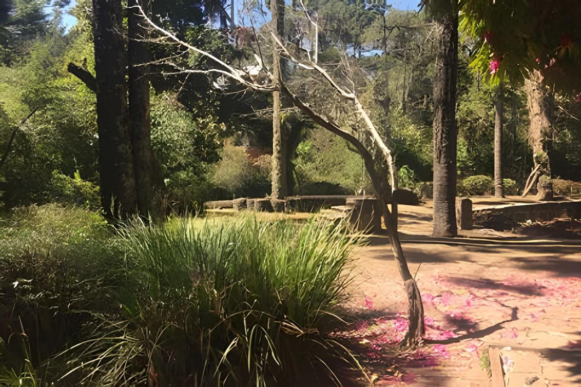 Cabana Suspensa Na Natureza - Regiao Turistica Campos do Jordão Exterior foto