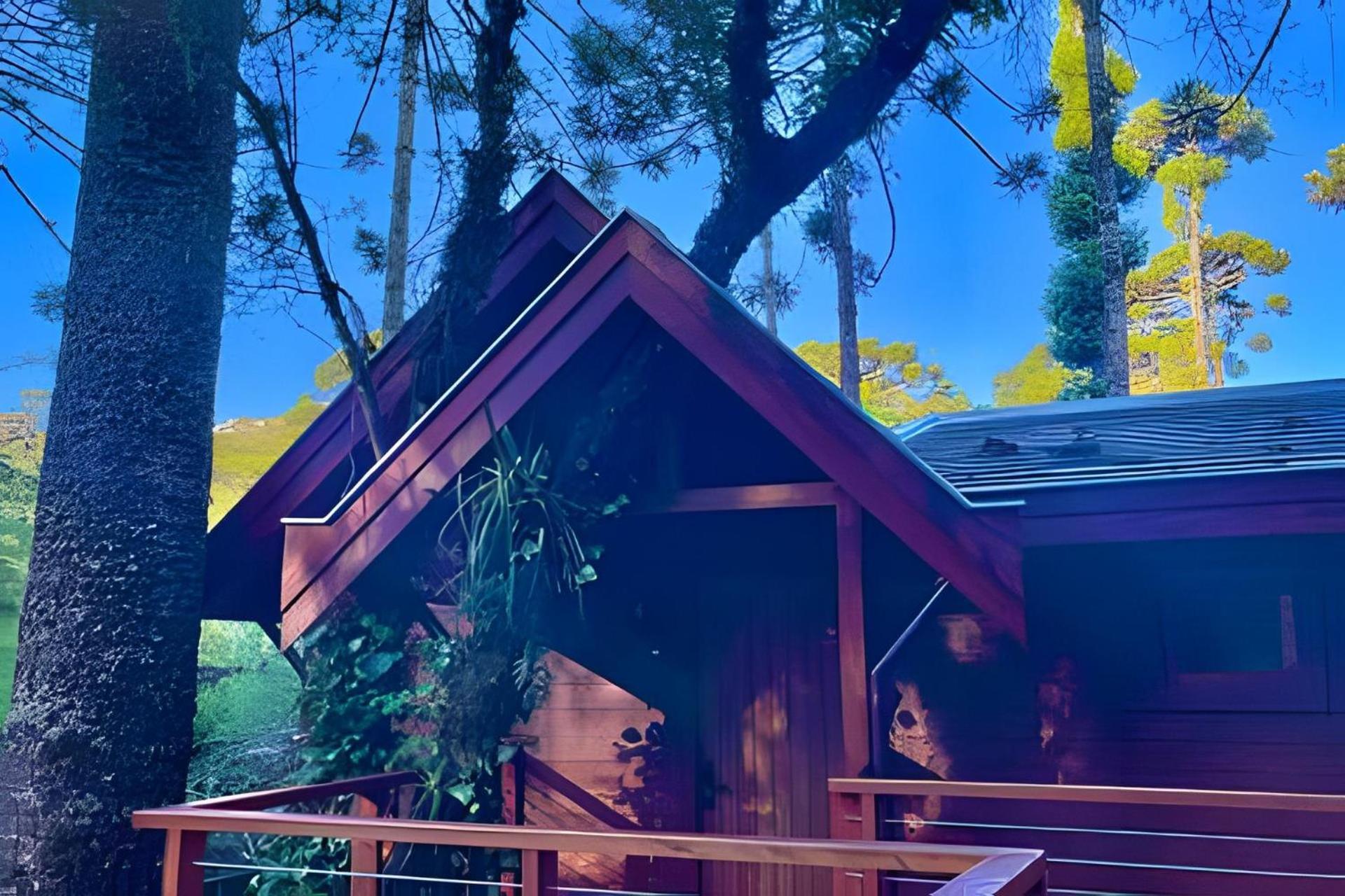 Cabana Suspensa Na Natureza - Regiao Turistica Campos do Jordão Exterior foto